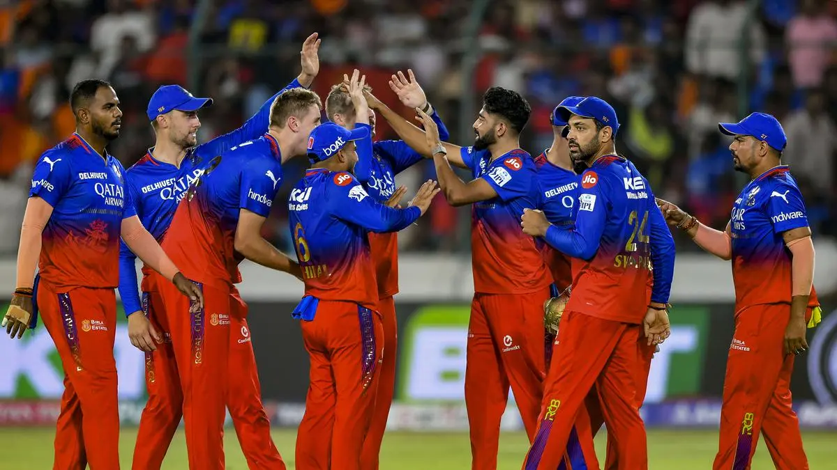 IPL 2025:  Fan Base Rankings: Which Team Has the Most Supporters?