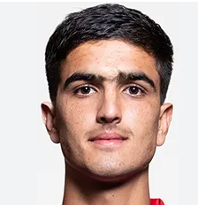 शाहिदुल्लाह हसनी