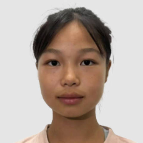 Xie Wenyan