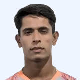 ভারত গন্ডওয়ানি