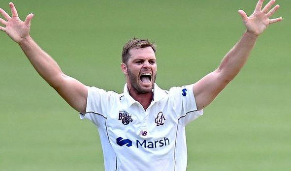मार्क स्टेकेटी
