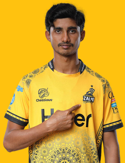 Ali Raza-Pak