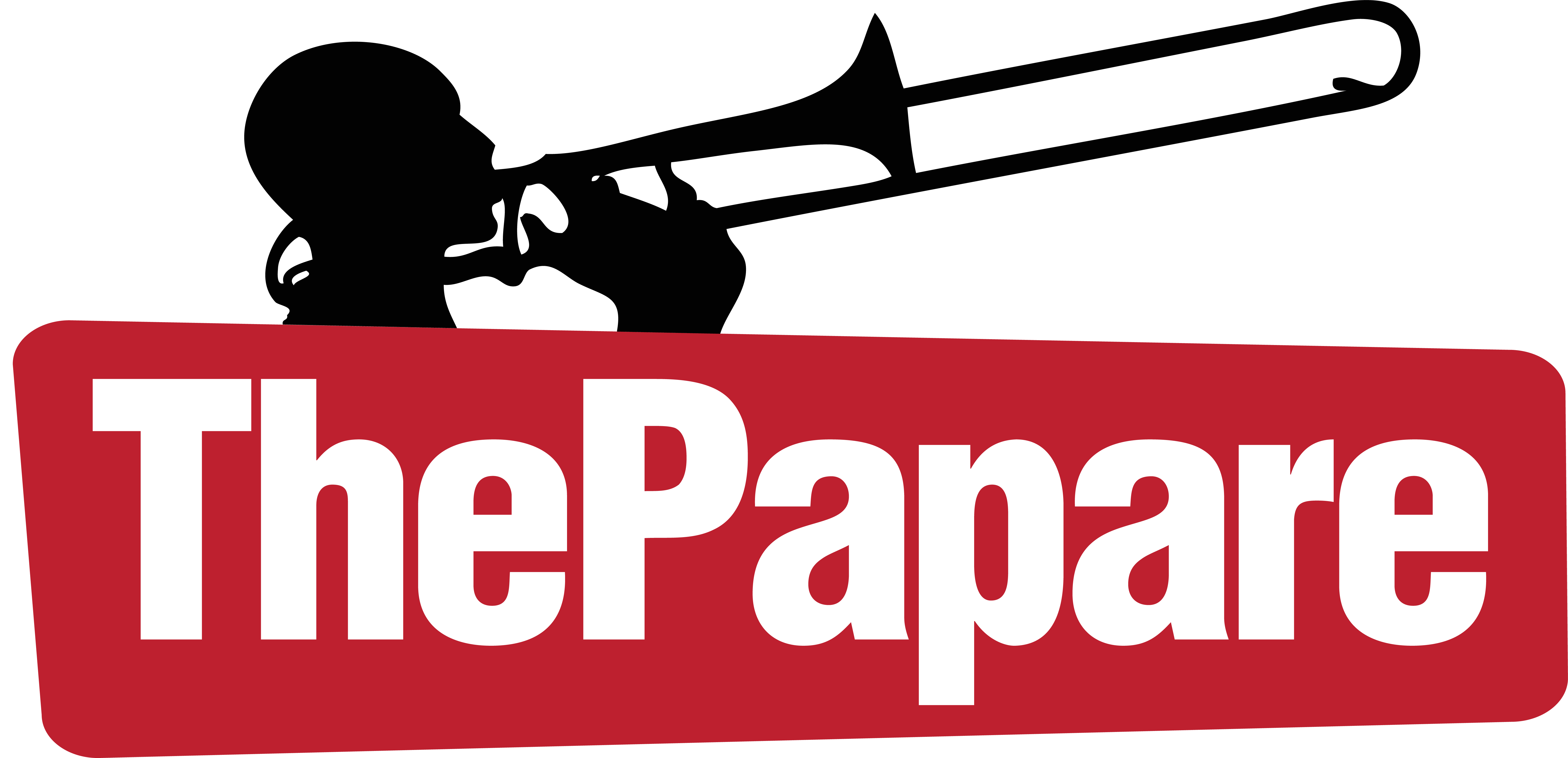 ThePapare Cricket