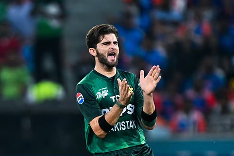 ওয়েস্ট ইন্ডিজ সিরিজের দল ঘোষণা, পাকিস্তানের বড় সিদ্ধান্ত