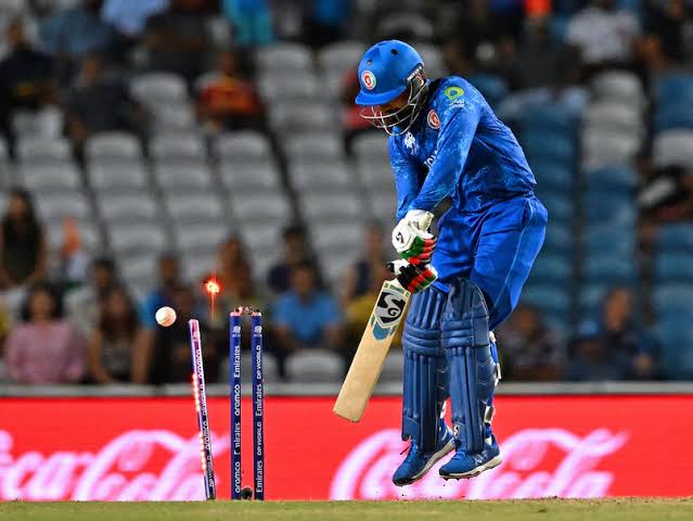क्रिकेट नियम: बोल्ड, एलबीडब्ल्यू (LBW) और रन आउट में क्या अंतर है?